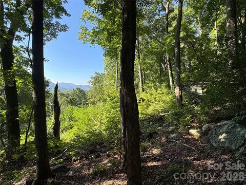 107 Copperhead Cv, Fairview, NC 28730 photo 5