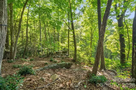 107 Copperhead Cv, Fairview, NC 28730 photo 9
