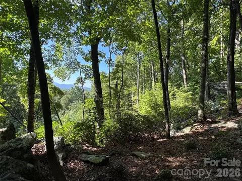 107 Copperhead Cv, Fairview, NC 28730 photo 12