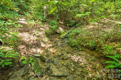 107 Copperhead Cv, Fairview, NC 28730 photo 16