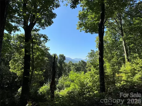 107 Copperhead Cv, Fairview, NC 28730 photo 46