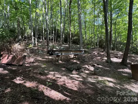 107 Copperhead Cv, Fairview, NC 28730 photo 23