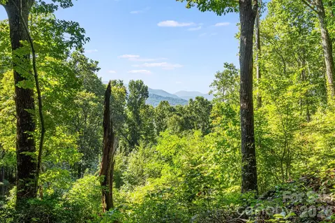 107 Copperhead Cv, Fairview, NC 28730 photo 6