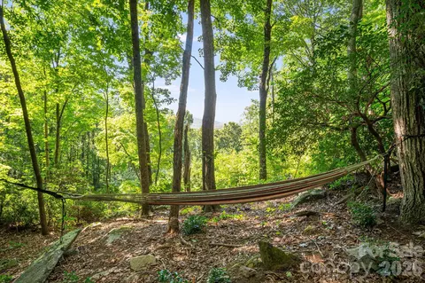 107 Copperhead Cv, Fairview, NC 28730 photo 3