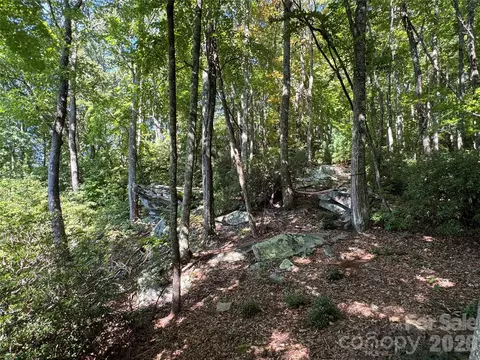 107 Copperhead Cv, Fairview, NC 28730 photo 15