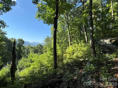 107 Copperhead Cv, Fairview, NC 28730 photo 45