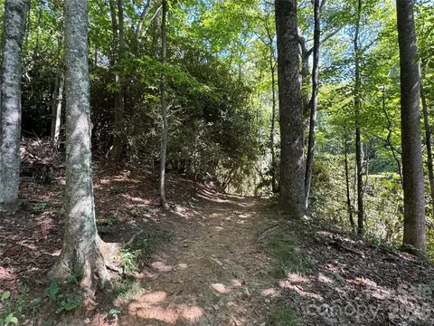 107 Copperhead Cv, Fairview, NC 28730 photo 17
