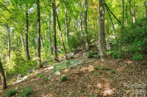 107 Copperhead Cv, Fairview, NC 28730 photo 28