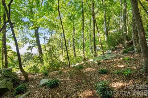 107 Copperhead Cv, Fairview, NC 28730 photo 8