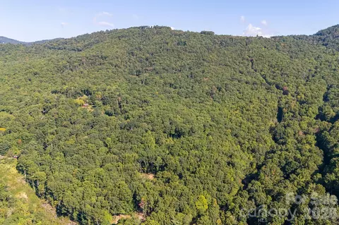 107 Copperhead Cv, Fairview, NC 28730 photo 35