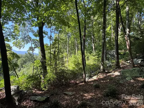 107 Copperhead Cv, Fairview, NC 28730 photo 13