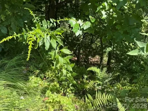 Jane Lane, Hendersonville, NC 28792