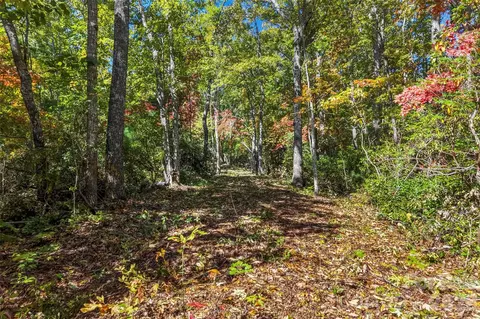 605 Lower Loop Dr, Fletcher, NC 28732 photo 6