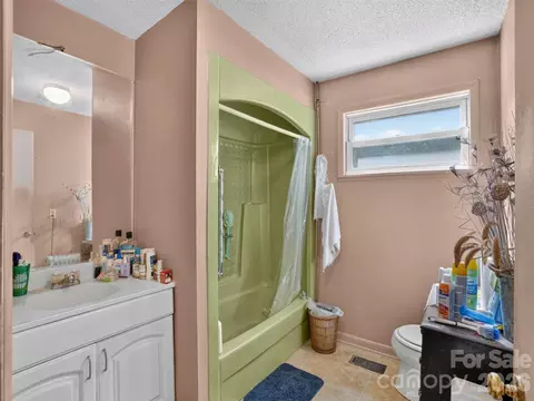 Bath - 484 Briar Patch Ln, Saluda, NC 28773 photo 2 of 3