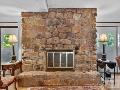Other - 484 Briar Patch Ln, Saluda, NC 28773 photo 3 of 10