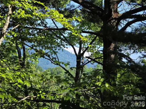Sequoyah Circle, Marion, NC 28752 photo 3