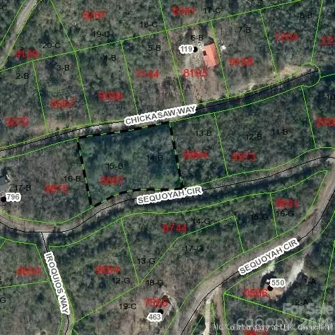 Sequoyah Circle, Marion, NC 28752 photo 11