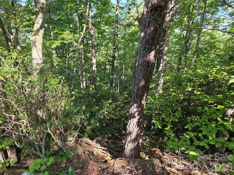 Sequoyah Circle, Marion, NC 28752 photo 8