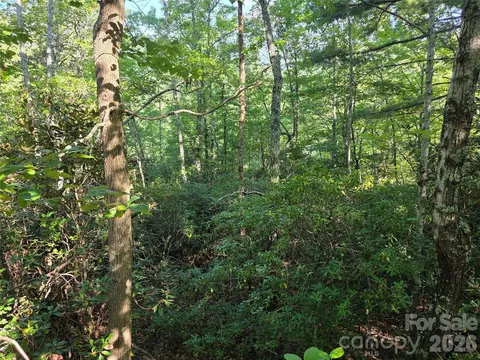 Sequoyah Circle, Marion, NC 28752 photo 6
