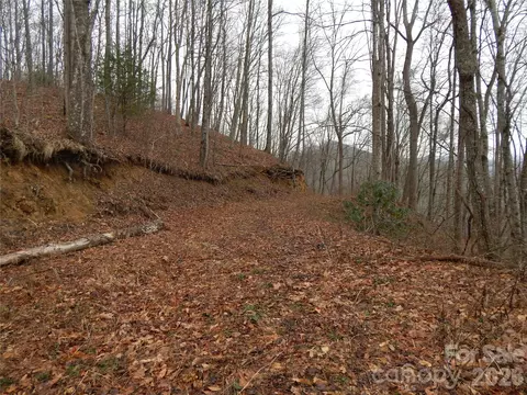 00 Henry Rd, Sylva, NC 28779 photo 10