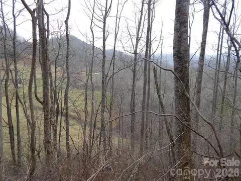 00 Henry Rd, Sylva, NC 28779 photo 18