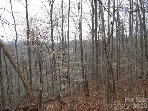 00 Henry Rd, Sylva, NC 28779 photo 16