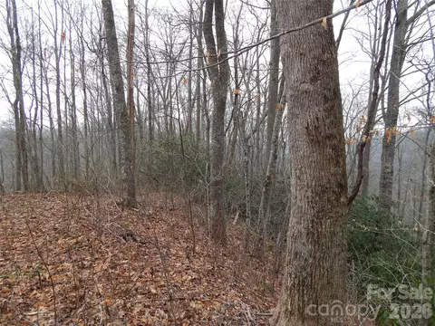 00 Henry Rd, Sylva, NC 28779 photo 14