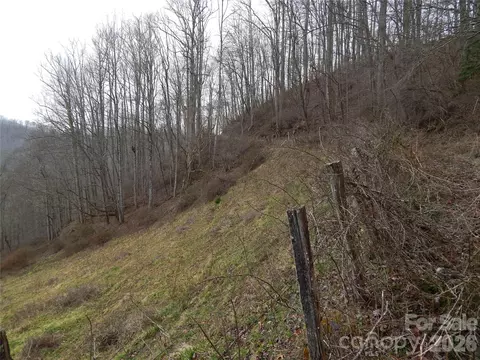 00 Henry Rd, Sylva, NC 28779 photo 22