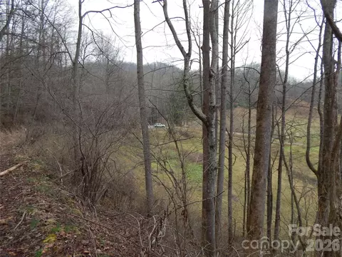 00 Henry Rd, Sylva, NC 28779 photo 17