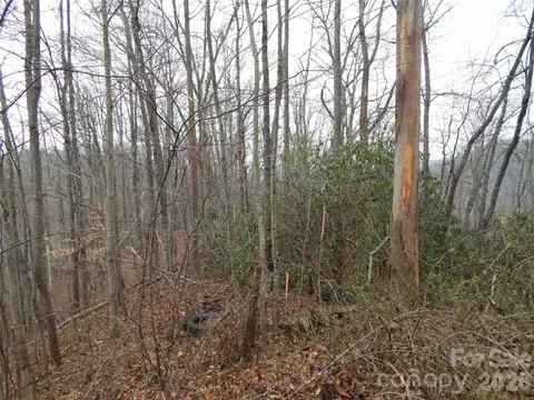 00 Henry Rd, Sylva, NC 28779 photo 15