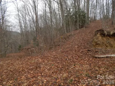 00 Henry Rd, Sylva, NC 28779 photo 11