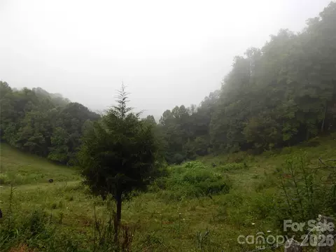 00 Henry Rd, Sylva, NC 28779 photo 24