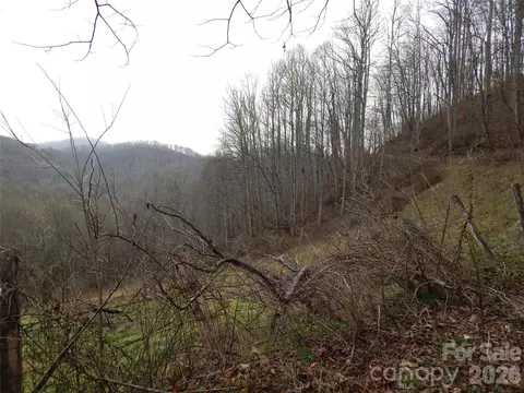 00 Henry Rd, Sylva, NC 28779 photo 7