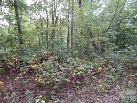 00 Henry Rd, Sylva, NC 28779 photo 20