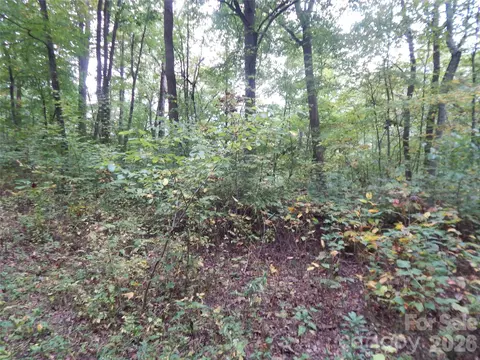 00 Henry Rd, Sylva, NC 28779 photo 19