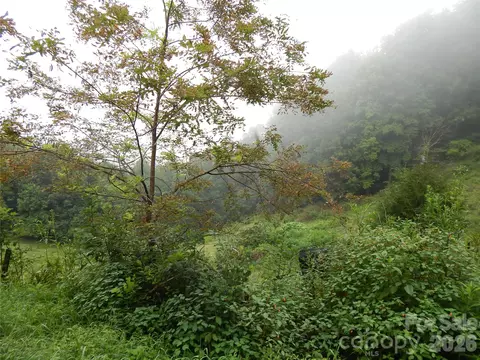 00 Henry Rd, Sylva, NC 28779 photo 3