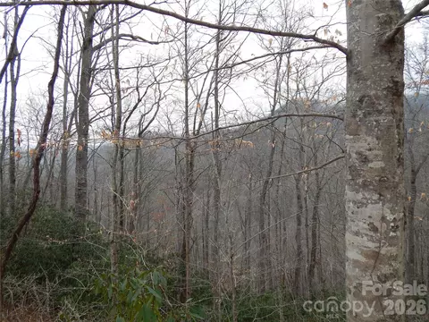 00 Henry Rd, Sylva, NC 28779 photo 13