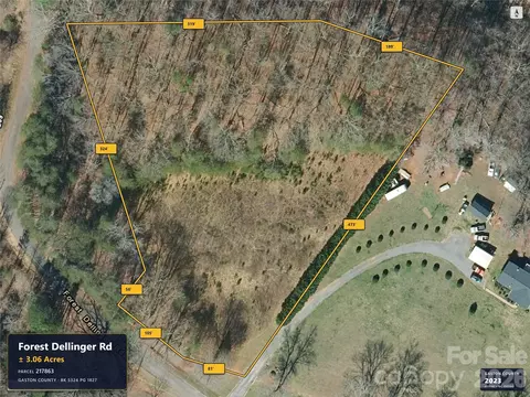0 Forest Dellinger Rd, Bessemer City, NC 28016