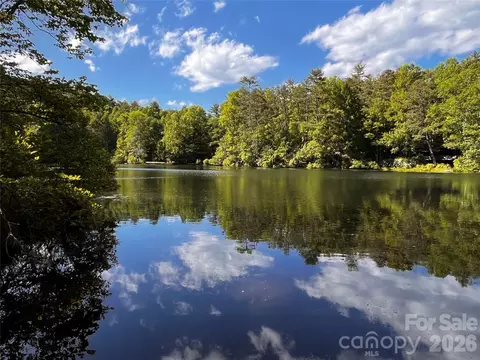 View/Area - 20 Pheasant Run Rd, Brevard, NC 28712 photo 1 of 1