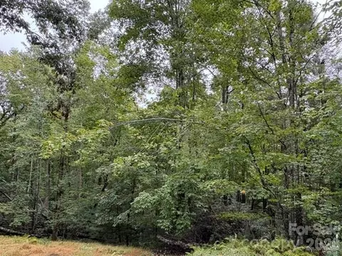 Other - 20 Pheasant Run Rd, Brevard, NC 28712 photo 4 of 8