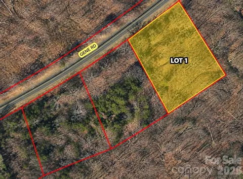 Gene Road, New London, NC 28127