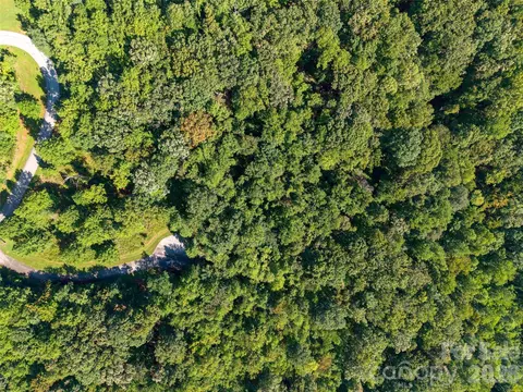 Grafton, Mill Spring, NC 28756 photo 9