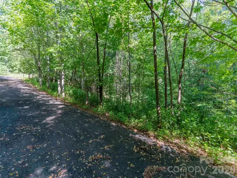 Grafton, Mill Spring, NC 28756 photo 2