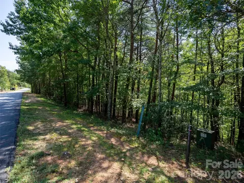 Deep Gap Farm W, Mill Spring, NC 28756 photo 3