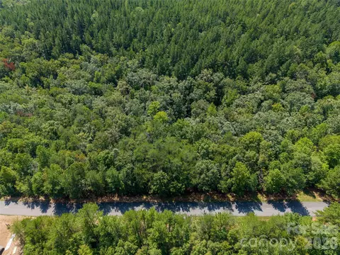 Deep Gap Farm W, Mill Spring, NC 28756 photo 5