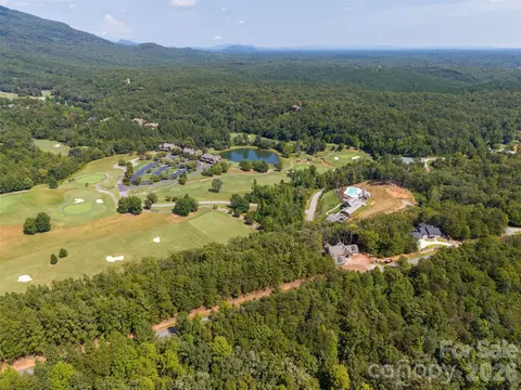 Deep Gap Farm W, Mill Spring, NC 28756 photo 9