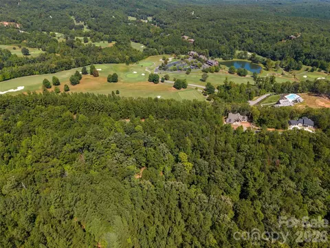 Deep Gap Farm W, Mill Spring, NC 28756 photo 8