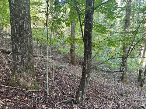 573 Solomon Cir, Hendersonville, NC 28739