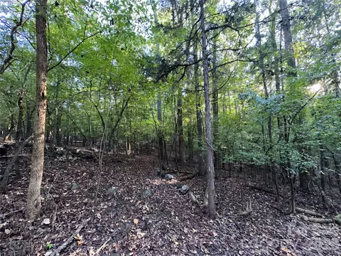 8160 Christopher Rd, Concord, NC 28025 photo 5