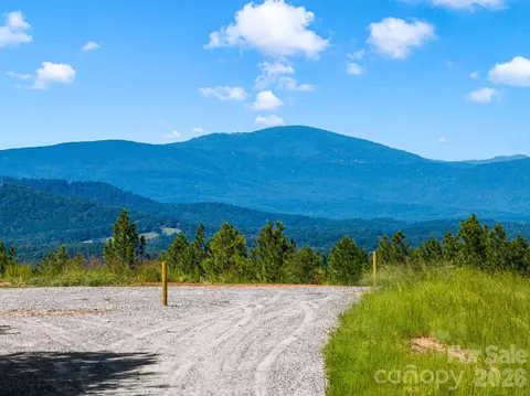 Williams Loop, Columbus, NC 28722 photo 4
